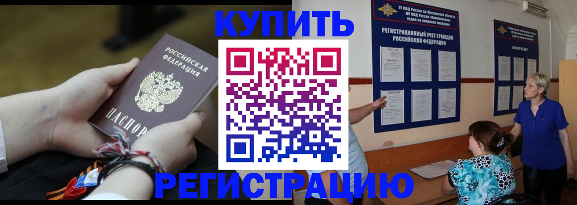прописка законно в Щёлково
